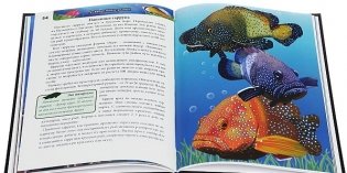 Энциклопедия. Аквариумные рыбки фото книги 3