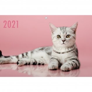 Календарь квартальный на 2021 год, трехблочный "Домашние любимцы. Дизайн 1", 305x680 мм фото книги