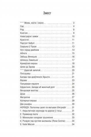 Сад камянёў : вершы фото книги 4