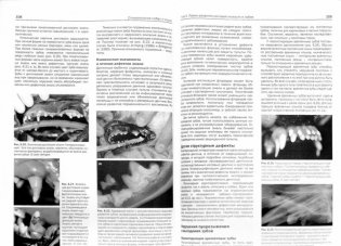 Стоматология собак и кошек фото книги 2