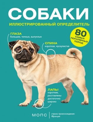 Собаки. 80 самых популярных пород. Иллюстрированный определитель фото книги