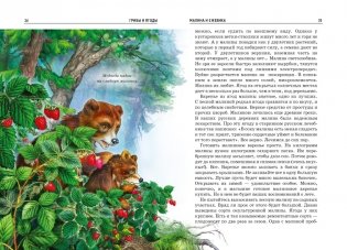 Грибы и ягоды фото книги 3