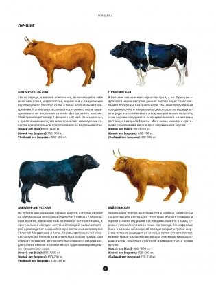 Мясо. Полное иллюстрированное руководство фото книги 6