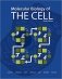 Molecular Biology of the Cell фото книги маленькое 2