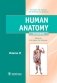 Human Anatomy: textbook. in 2 vol. Volume 2 = Анатомия человека: Учебник.  В 2 т. Т. 2 (кн. на англ. яз.) фото книги маленькое 2