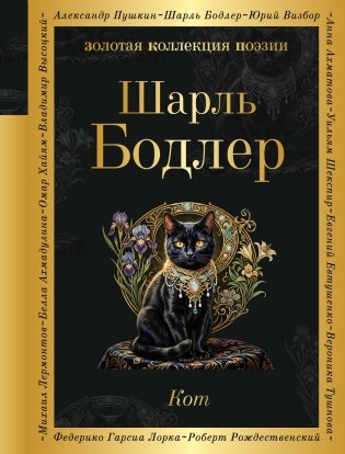 Кот фото книги