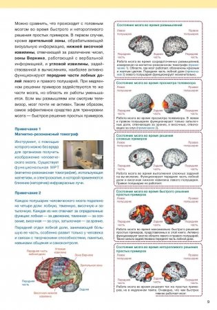 Тренируем мозг. Тетрадь для развития памяти и интеллекта №6 фото книги 7