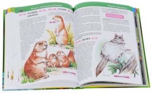 Большая детская энциклопедия животных фото книги 3
