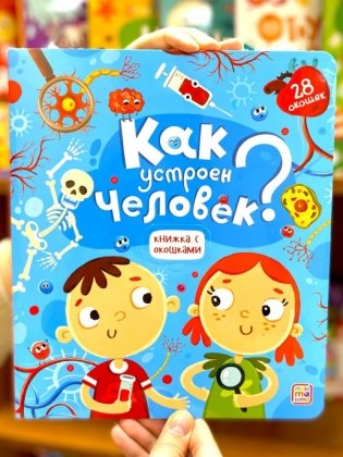 Как устроен человек? Книжка с окошками фото книги 4