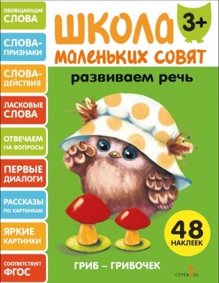 Школа маленьких совят 3+. Развиваем речь фото книги