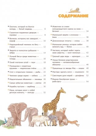 Мир животных. Наглядно и просто фото книги 2