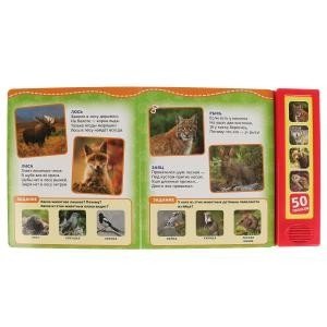 Лесные животные фото книги 2