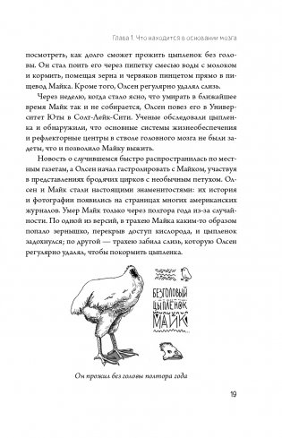 Автостопом по мозгу. Когда вся вселенная у тебя в голове фото книги 15