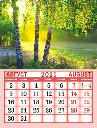 Календарь на магните на 2021 год "Природа" фото книги 3