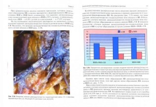Клиническая анатомия системы воротной вены печени фото книги 2