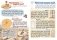 Что такое время? Моя первая энциклопедия с наклейками фото книги маленькое 5