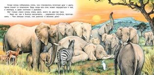 Приключения слоненка фото книги 4