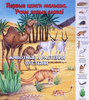 Животные и растения пустыни фото книги