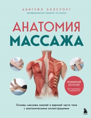 Анатомия массажа. Основы массажа нижней и верхней части тела с анатомическими иллюстрациями фото книги