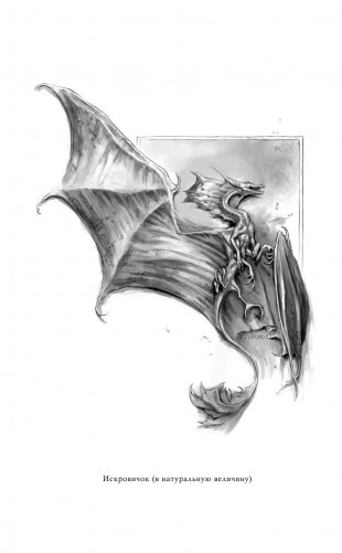 Естественная история драконов фото книги 11