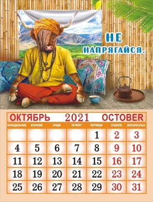 Календарь на магните на 2021 год "Символ года" фото книги 3