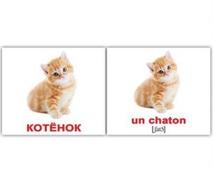 Набор карточек "Вундеркинд. Французский язык. Домашние животные" (20 штук) фото книги