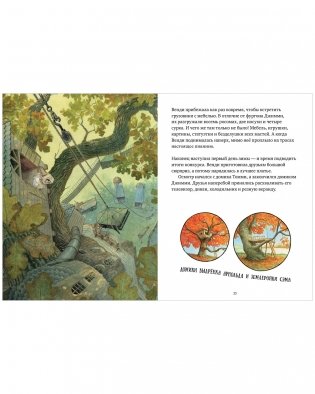 Книжки-картинки (мягкая обложка). Крошка Венди и дом на дереве фото книги 4