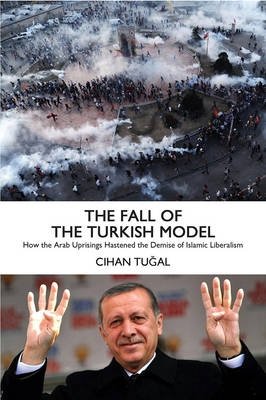 The Fall of the Turkish Model фото книги