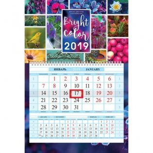 Календарь квартальный на 2019 год "Соло-Люкс. Яркое настроение" фото книги