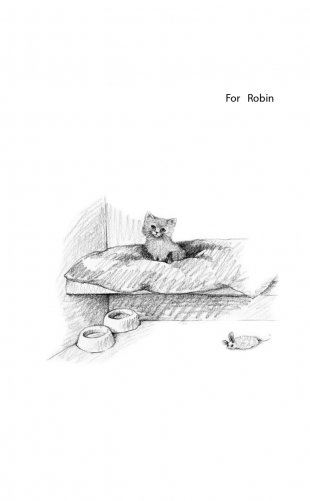 Котёнок Одуванчик, или Игра в прятки = Smudge the Stolen Kitten фото книги 7