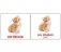 Набор карточек "Вундеркинд. Французский язык. Домашние животные" (20 штук) фото книги маленькое 2