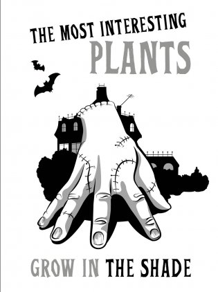 The most interesting plants grow in the shade. Вещь. Блокнот в точку фото книги