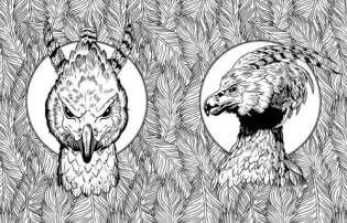 Harry Potter Magical Creatures Colouring Book фото книги 3