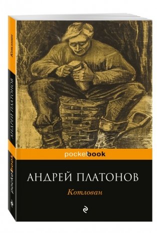 Котлован фото книги