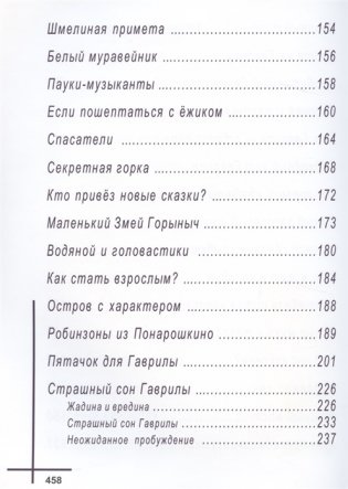 Понарошкино. Сказочный городок фото книги 9