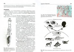 Медицинская паразитология и паразитарные болезни. Протозоозы и гельминтозы фото книги 2