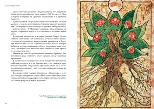 Викка. Зеленая магия, растения и ритуалы фото книги 6
