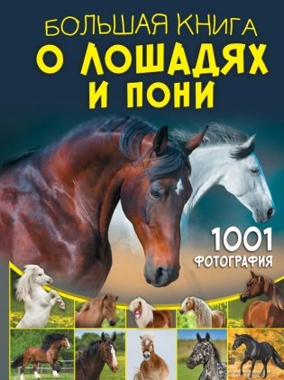 Большая книга о лошадях и пони. 1001 фотография фото книги