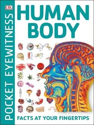 Human Body. Facts at Your Fingertips фото книги