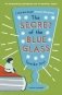 The Secret of the Blue Glass фото книги маленькое 2