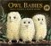 Owl Babies. Board book фото книги маленькое 2