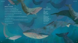 Tiger, Tiger, Burning Bright! An Animal Poem for Every Day of the Year фото книги 4