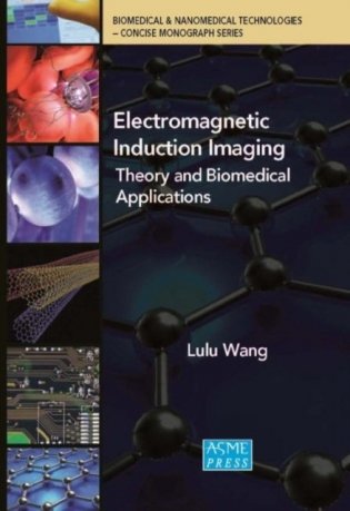 Electromagnetic induction imaging : фото книги
