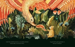 Magic Feather фото книги 2