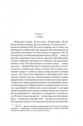 Джевдет-бей и сыновья фото книги 5