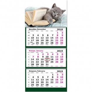 Календарь настенный трехблочный на 2019 год "Котенок с книгой", 305х675 мм фото книги