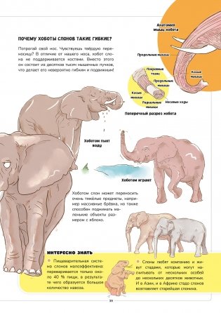 Мир животных. Наглядно и просто фото книги 9