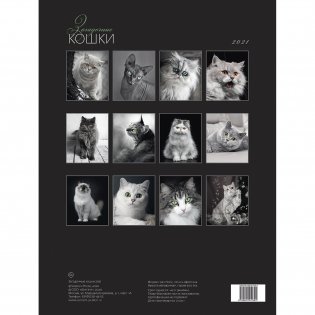 Загадочные кошки. Календарь настенный на пружине на 2021 год фото книги 2
