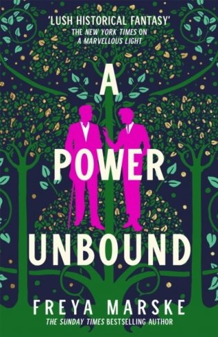 A Power Unbound фото книги