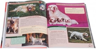 Энциклопедия о кошках и собаках фото книги 3
